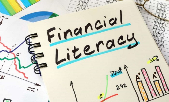 Online courses for financial literacy